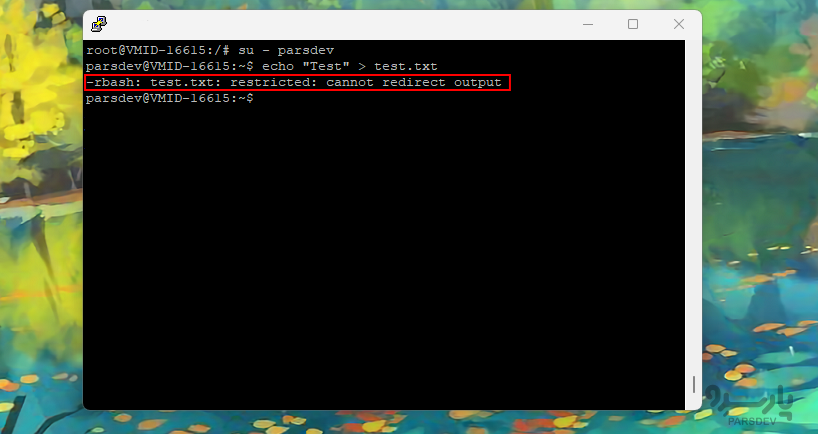 خطای test.txt: restricted: cannot redirect output