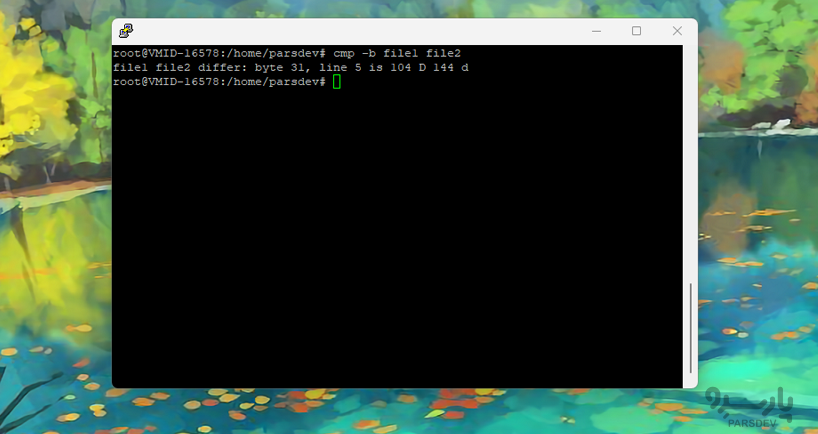 خروجی دستور cmp -b در لینوکس